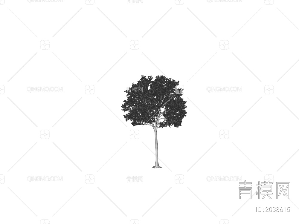 庭院树 稀疏树 景观树 行道树 灌木 绿植 植物 乔木 常绿树 大树3D模型下载【ID:2038615】