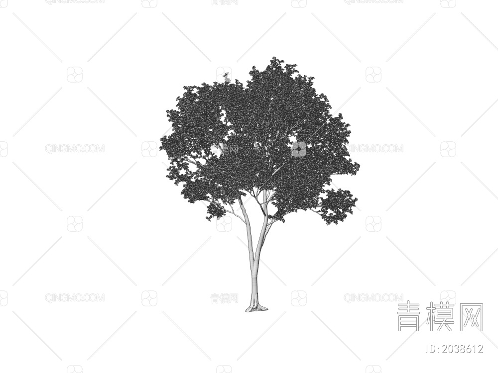 乔木 常绿树 大树 庭院树 稀疏树 景观树 行道树 灌木 绿植 植物3D模型下载【ID:2038612】