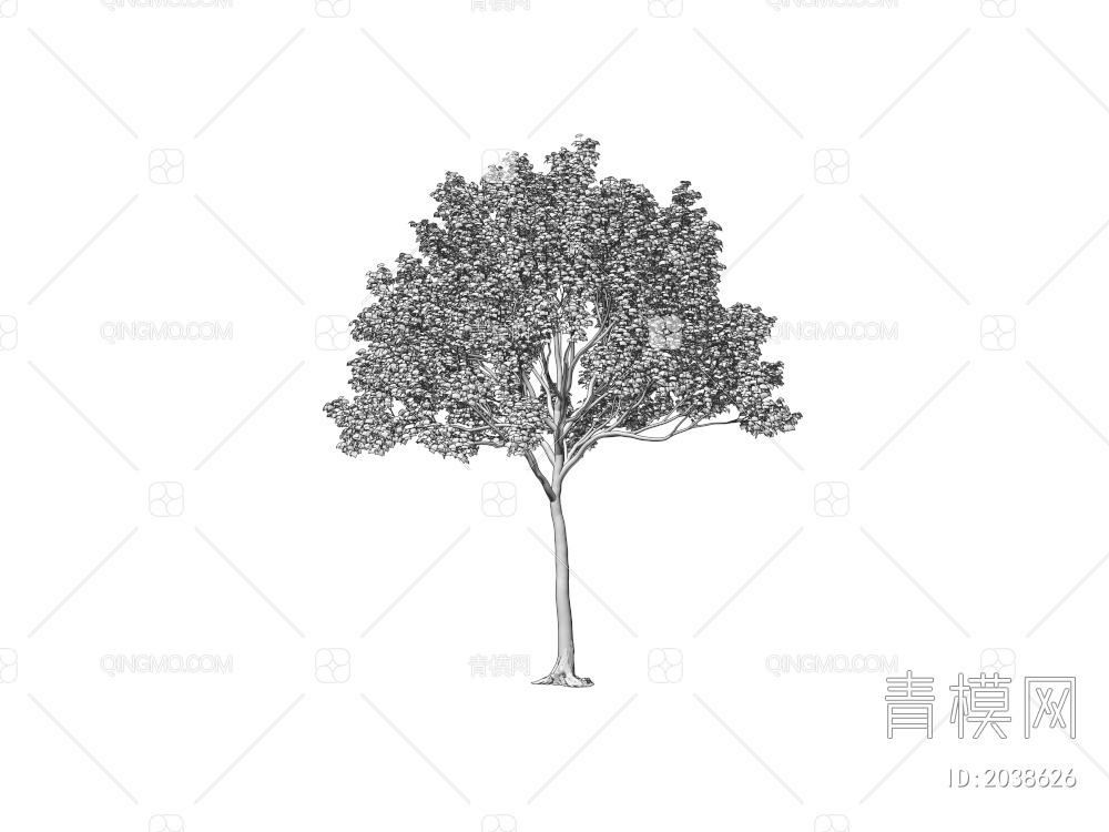 常绿树 大树 庭院树 稀疏树 景观树 行道树 灌木 绿植 植物 乔木3D模型下载【ID:2038626】