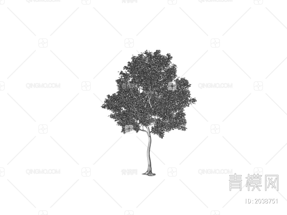 乔木 植物 树 彩色树 黄叶树 秋天树 景观树 行道树 庭院树 园林树 大树3D模型下载【ID:2038751】