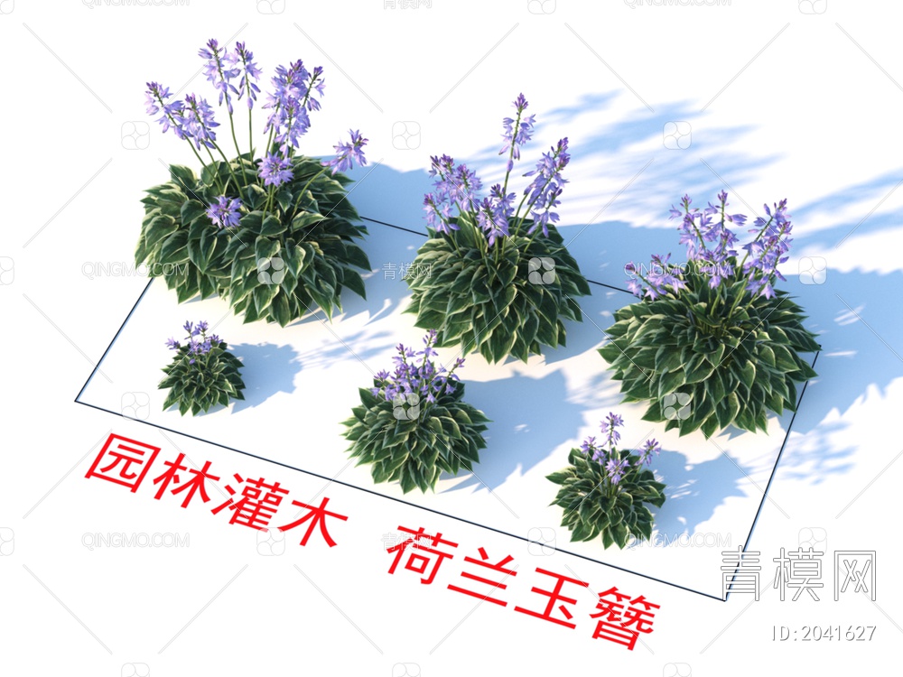 园林灌木  荷兰玉簪 植物类3D模型下载【ID:2041627】