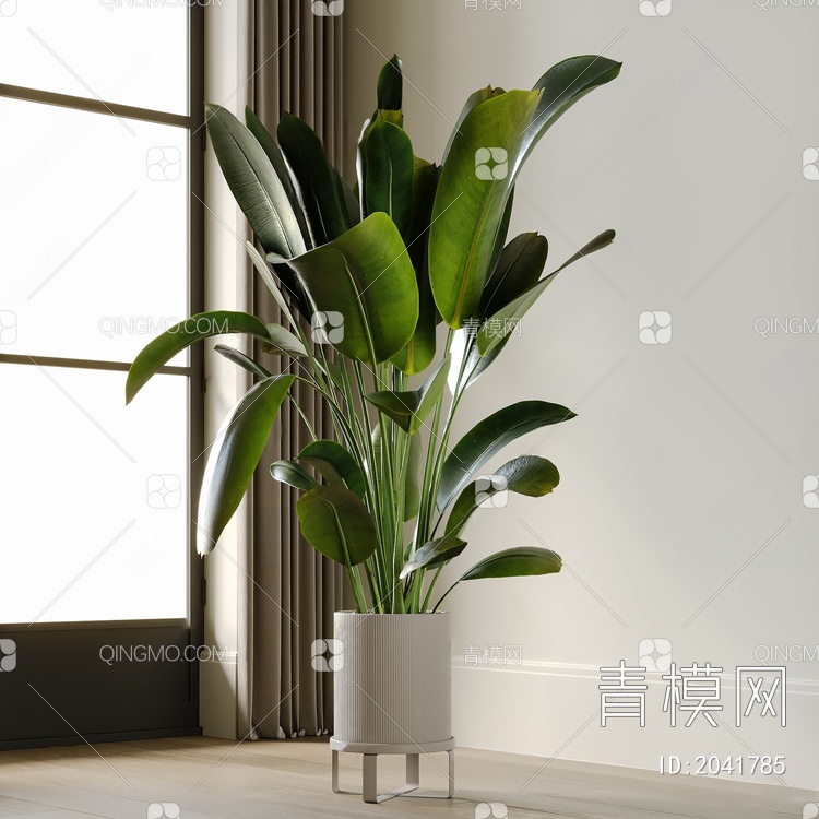 植物盆栽3D模型下载【ID:2041785】