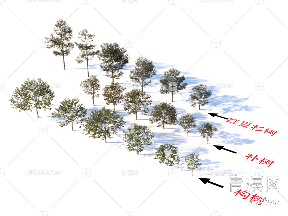 构树 红豆杉树 朴树 植物树3D模型下载【ID:2042957】