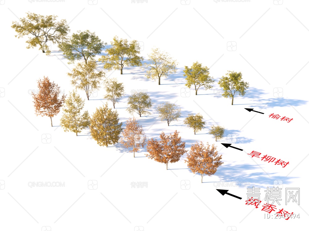 枫香树 旱柳树 榆树 植物树3D模型下载【ID:2043494】