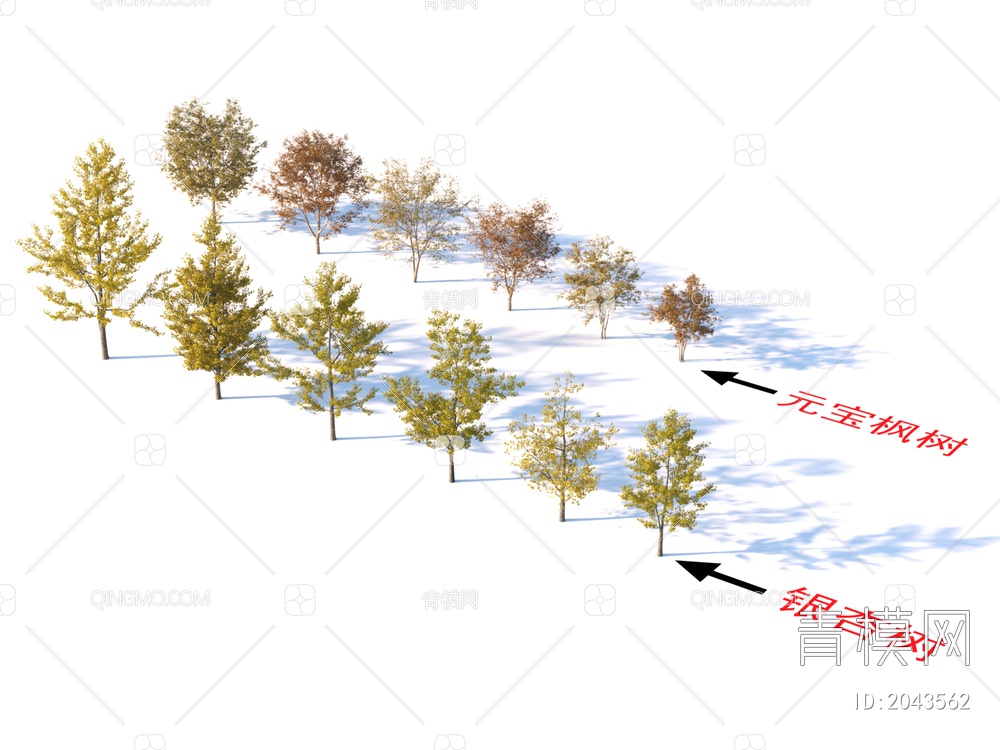 银杏树 元宝枫树 植物树3D模型下载【ID:2043562】
