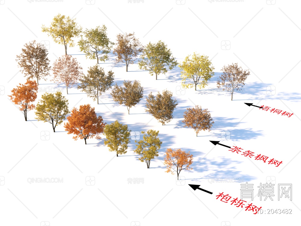 枹栎树 茶条枫树 梧桐树 植物树3D模型下载【ID:2043482】