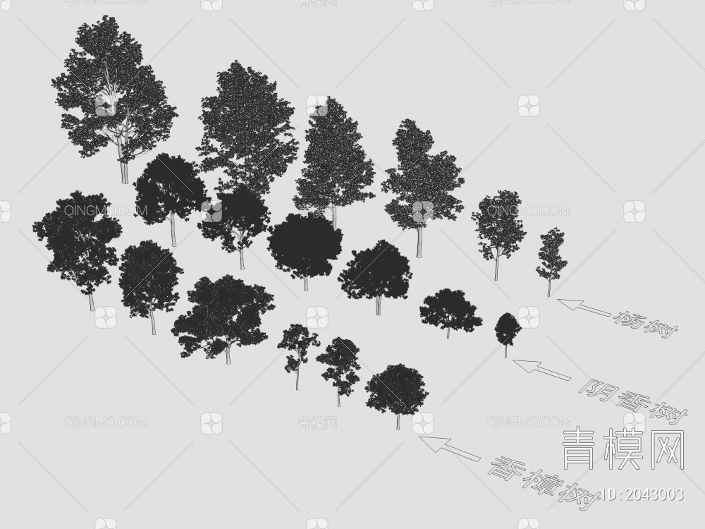 香樟树 阴香树 杨树 植物树3D模型下载【ID:2043003】