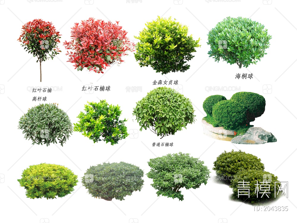 绿色植物 绿色植物树SU模型下载【ID:2043835】