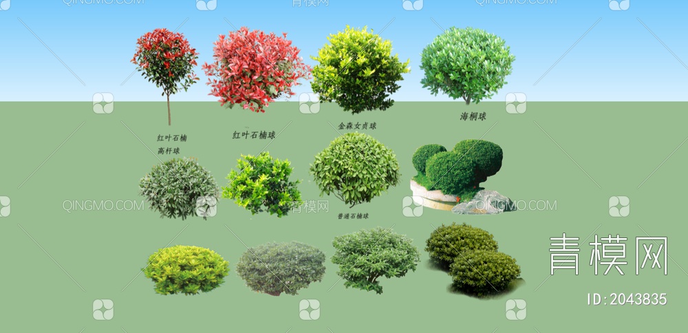 绿色植物 绿色植物树SU模型下载【ID:2043835】