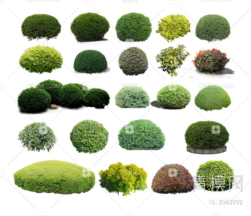 绿色植物 植物树SU模型下载【ID:2043902】