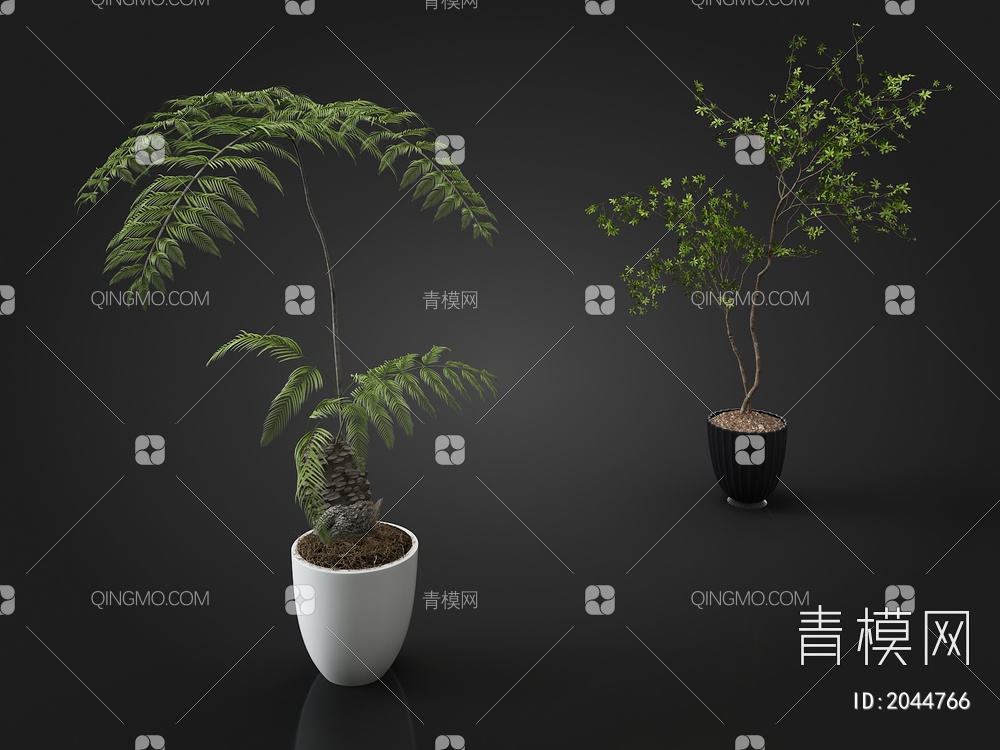 植物盆栽3D模型下载【ID:2044766】
