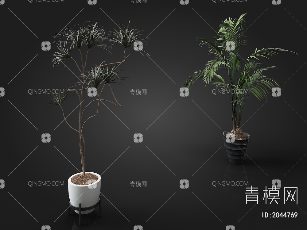植物盆栽3D模型下载【ID:2044769】
