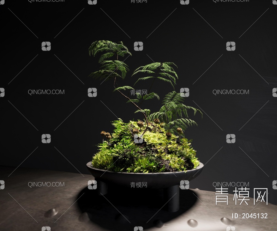 苔藓植物盆景3D模型下载【ID:2045132】