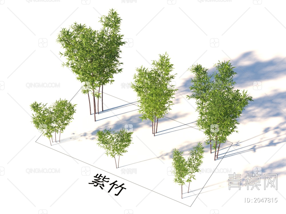 紫竹 植物类3D模型下载【ID:2047815】
