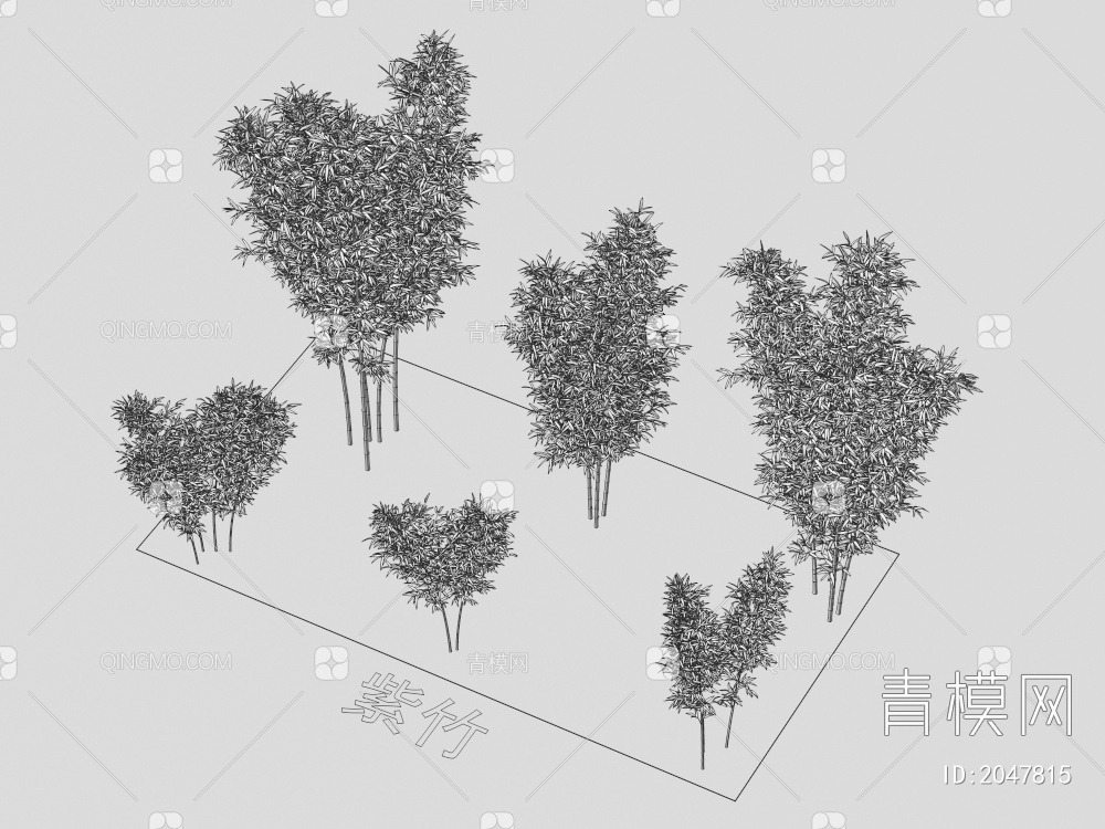 紫竹 植物类3D模型下载【ID:2047815】