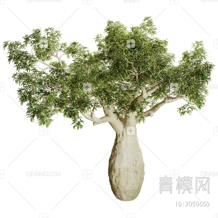 Brachychito树木3D模型下载【ID:2050650】