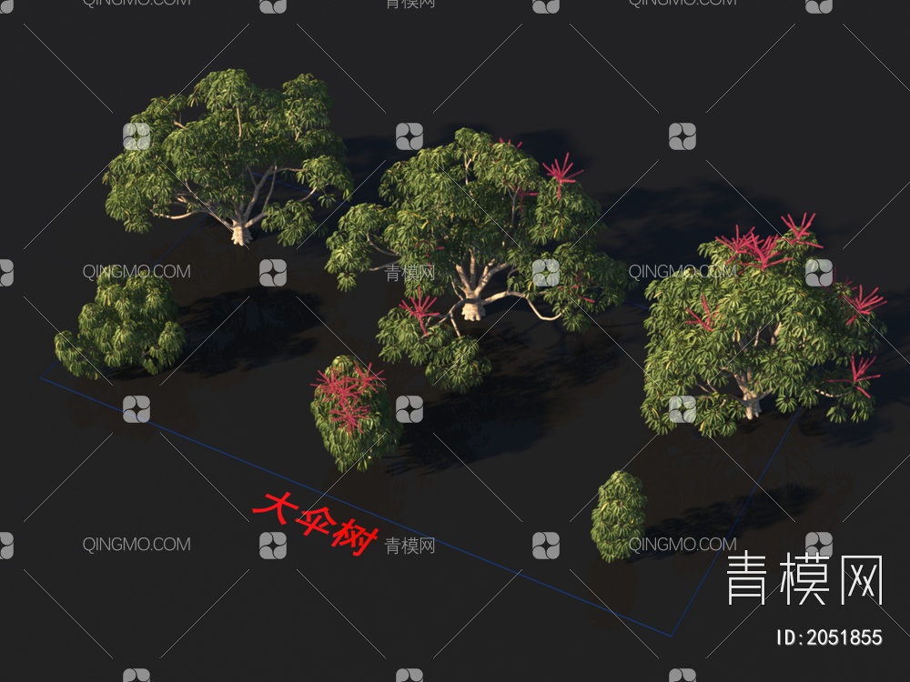 大伞树 植物类3D模型下载【ID:2051855】