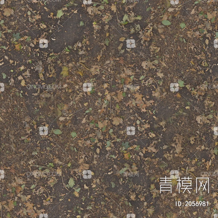 棕色，污垢，肮脏，森林，地面，叶子，泥土，棍子贴图下载【ID:2056981】