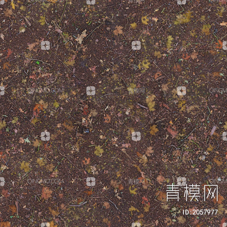 棕色，污垢，肮脏，地面，叶子，树叶，泥土贴图下载【ID:2057977】