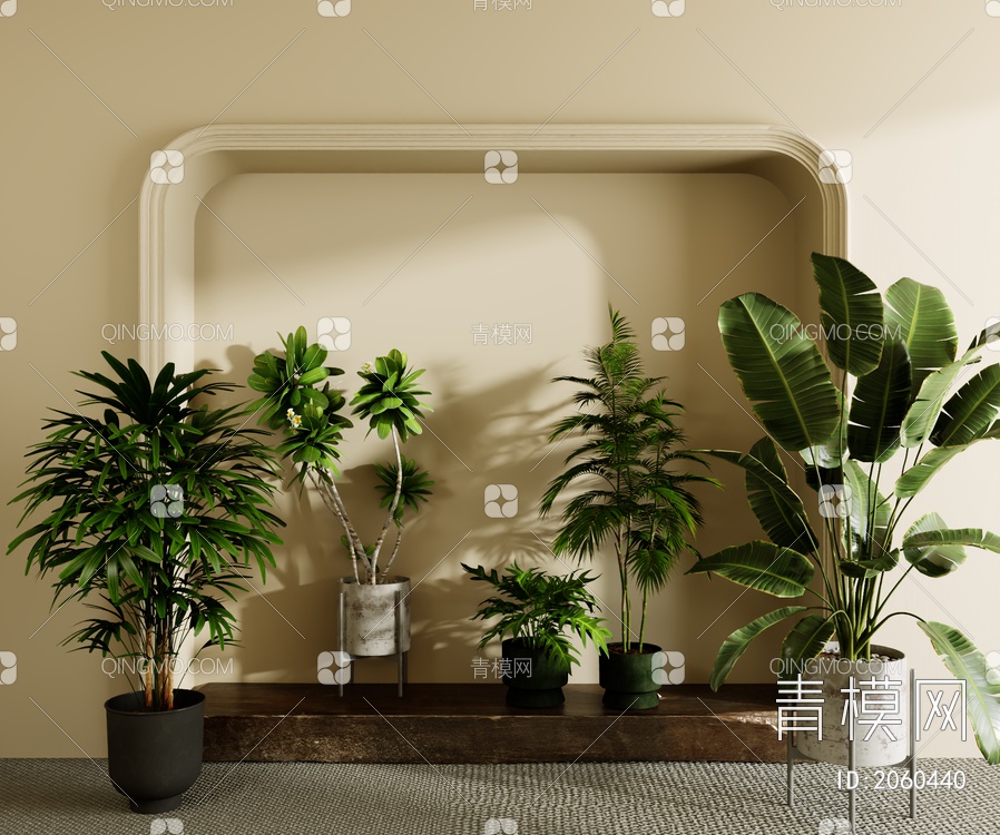 绿植 盆景3D模型下载【ID:2060440】