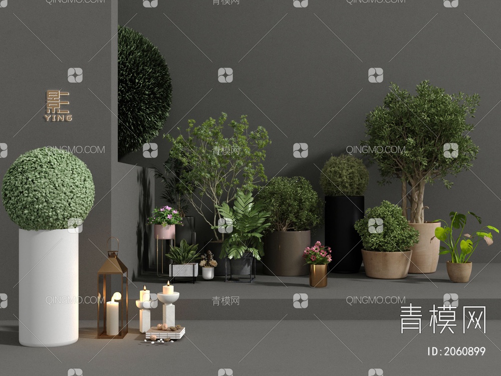 绿植盆栽3D模型下载【ID:2060899】