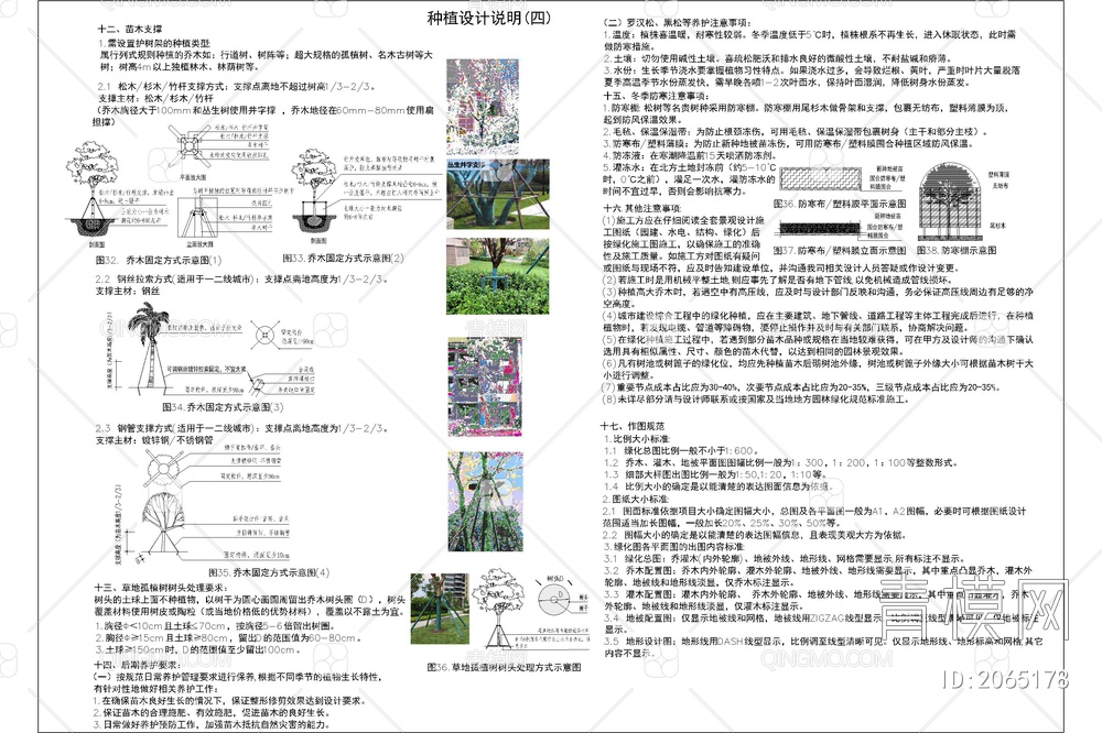 园林景观绿化 植物种植施工大样图详图 设计说明【ID:2065178】