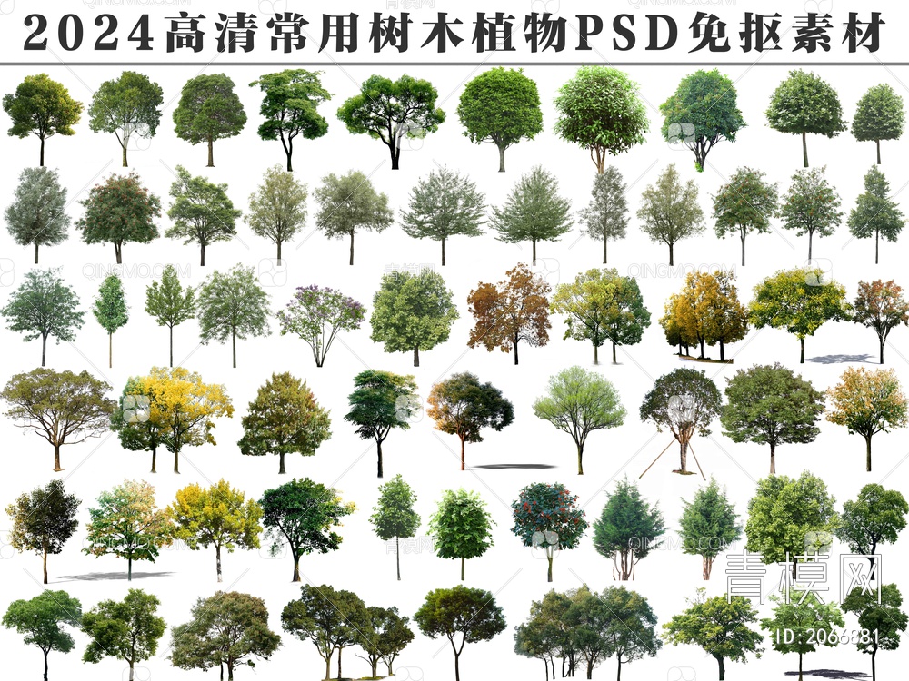 2024常用树木植物PSD免抠素材psd下载【ID:2066881】