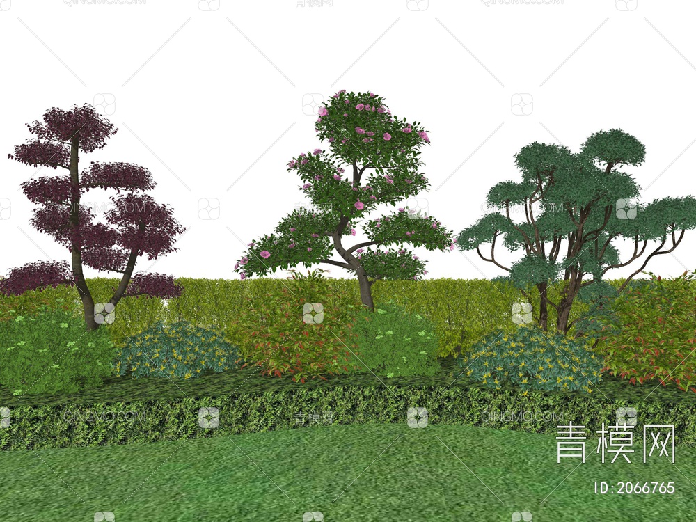 景观植物SU模型下载【ID:2066765】