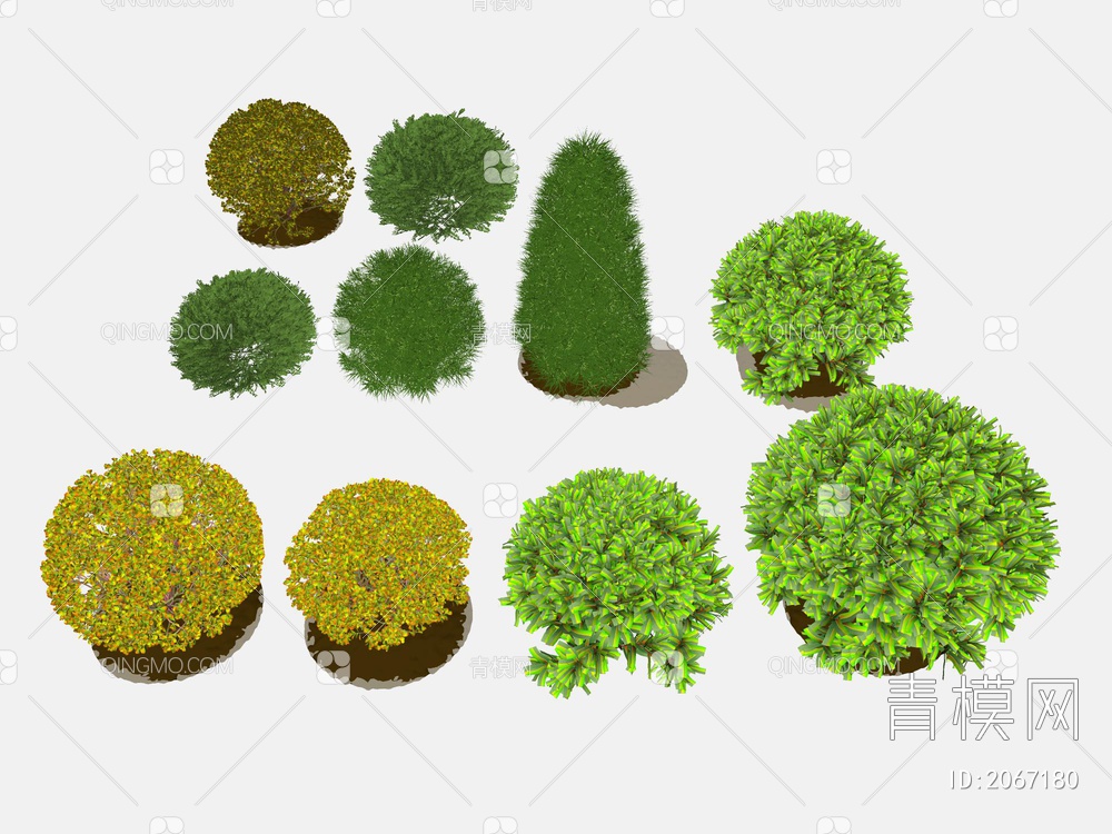 景观植物SU模型下载【ID:2067180】