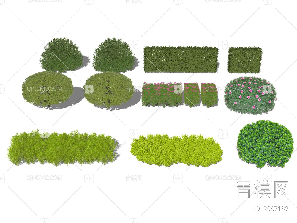 景观植物SU模型下载【ID:2067189】