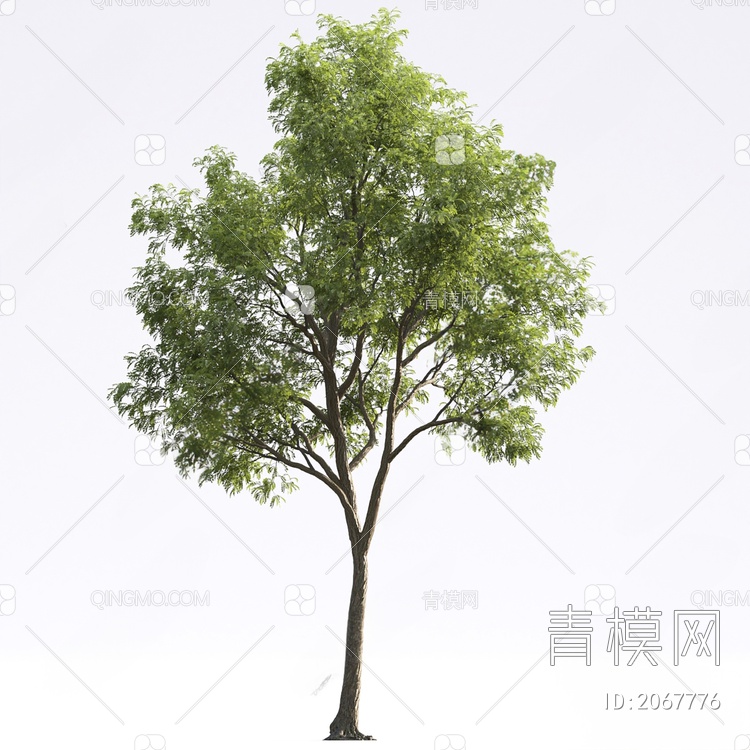 树木SU模型下载【ID:2067776】