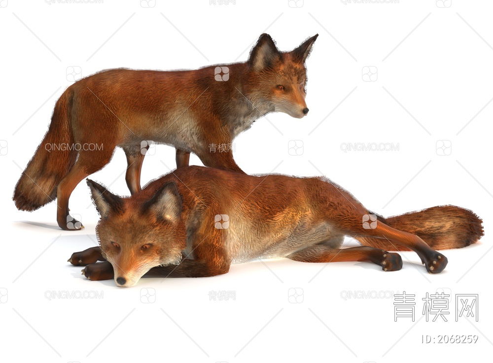 狐狸3D模型下载【ID:2068259】
