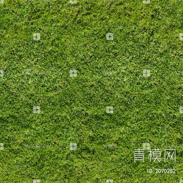 绿色草坪草皮贴图贴图下载【ID:2070282】