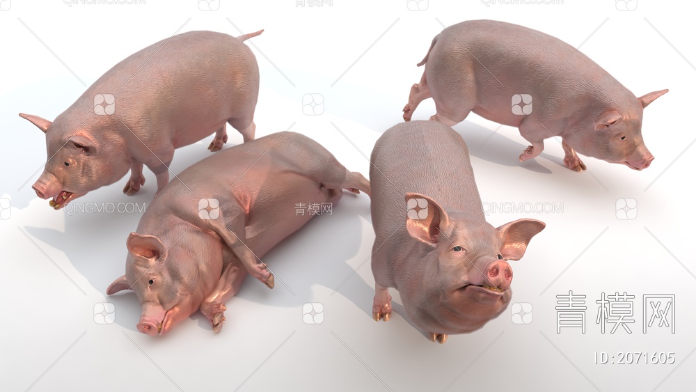 猪猪3D模型下载【ID:2071605】