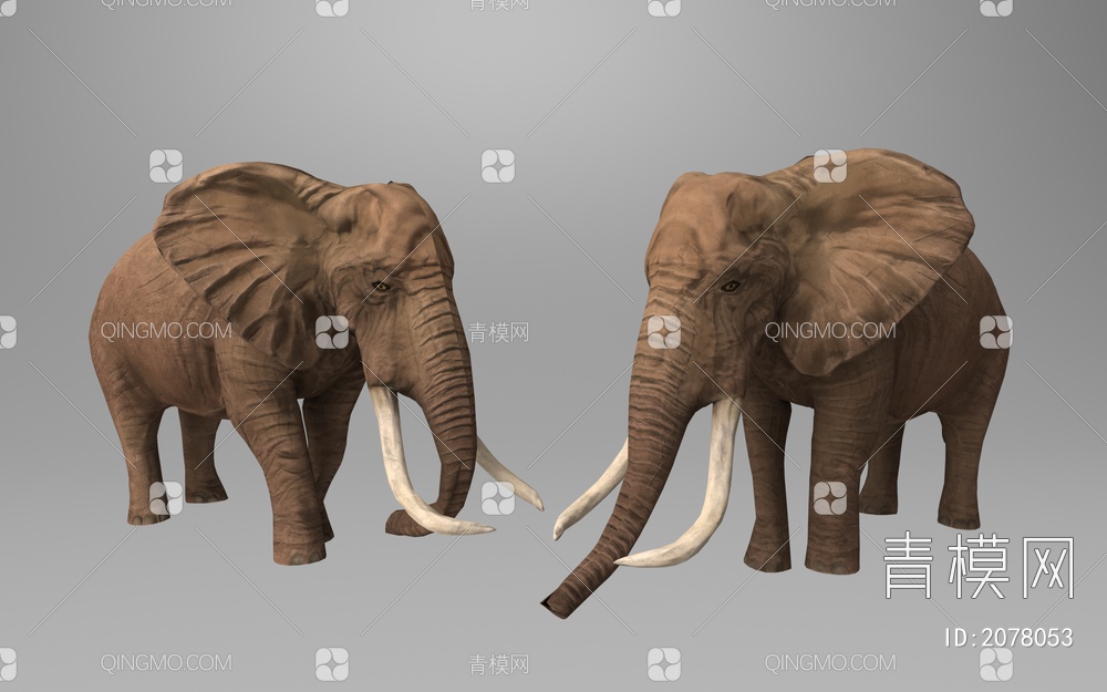 大象 亚洲象3D模型下载【ID:2078053】