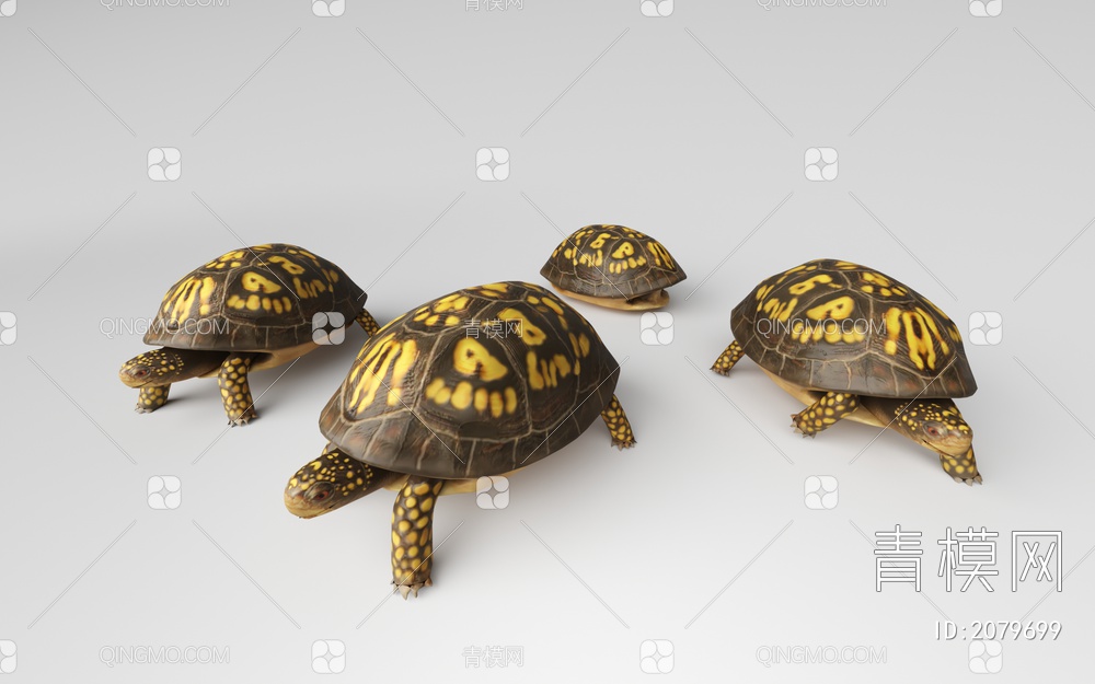 海龟3D模型下载【ID:2079699】