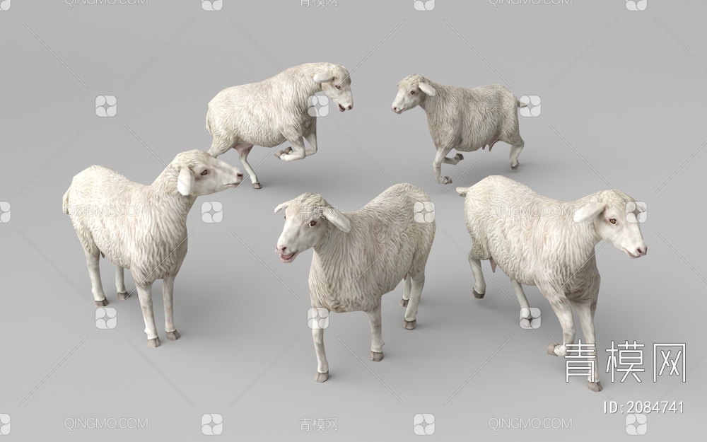 绵羊3D模型下载【ID:2084741】
