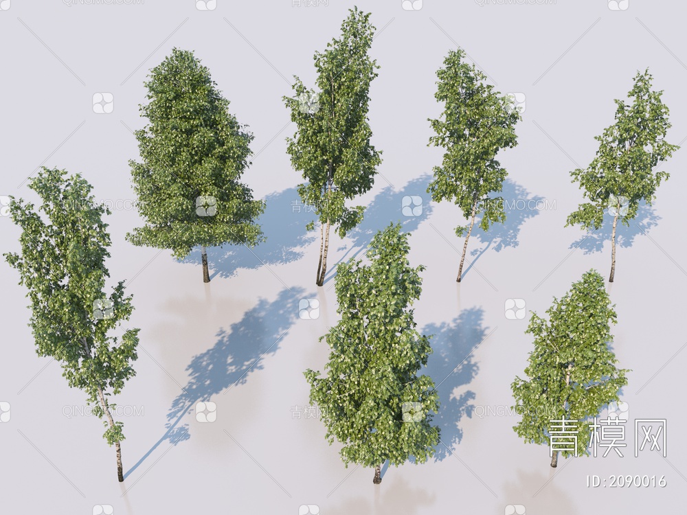 白桦树_景观树3D模型下载【ID:2090016】