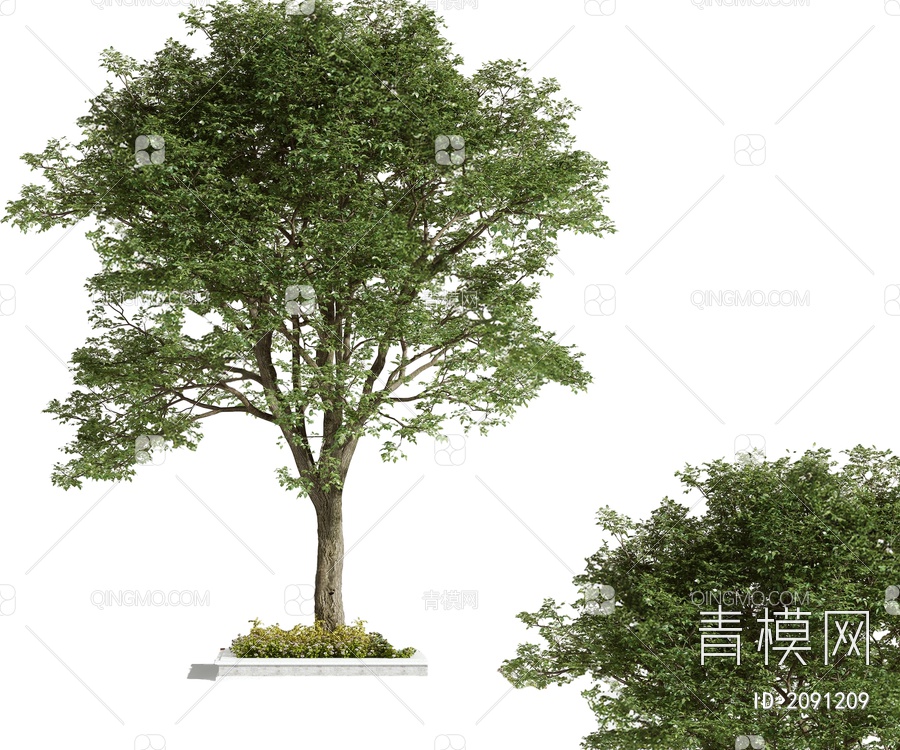 树木 乔木3D模型下载【ID:2091209】