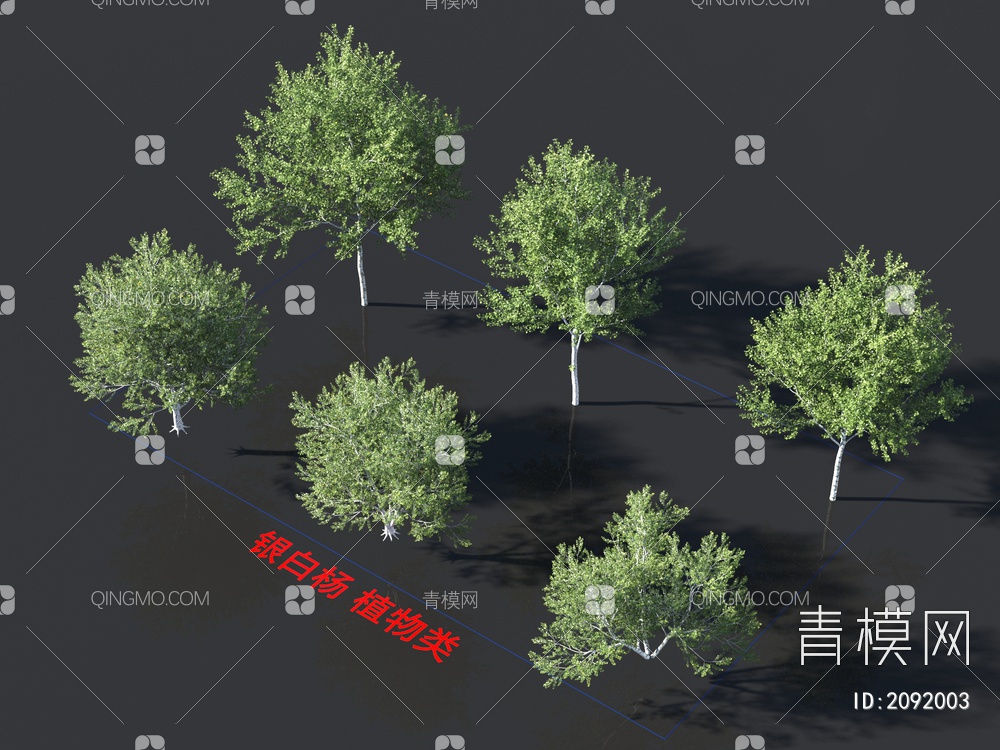 银白杨 植物类3D模型下载【ID:2092003】