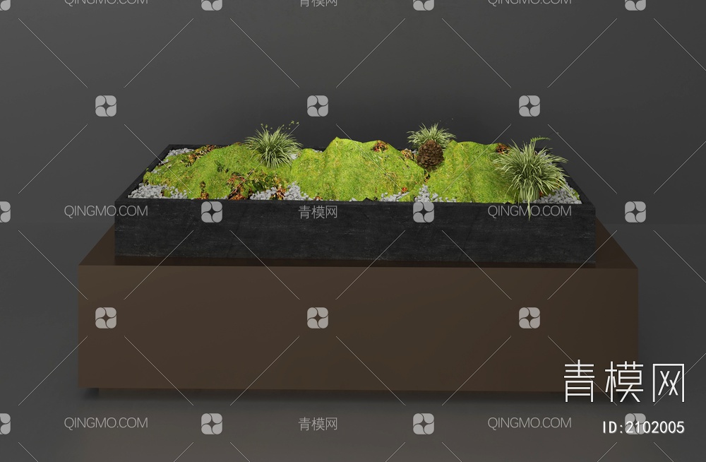 苔藓 植物3D模型下载【ID:2102005】