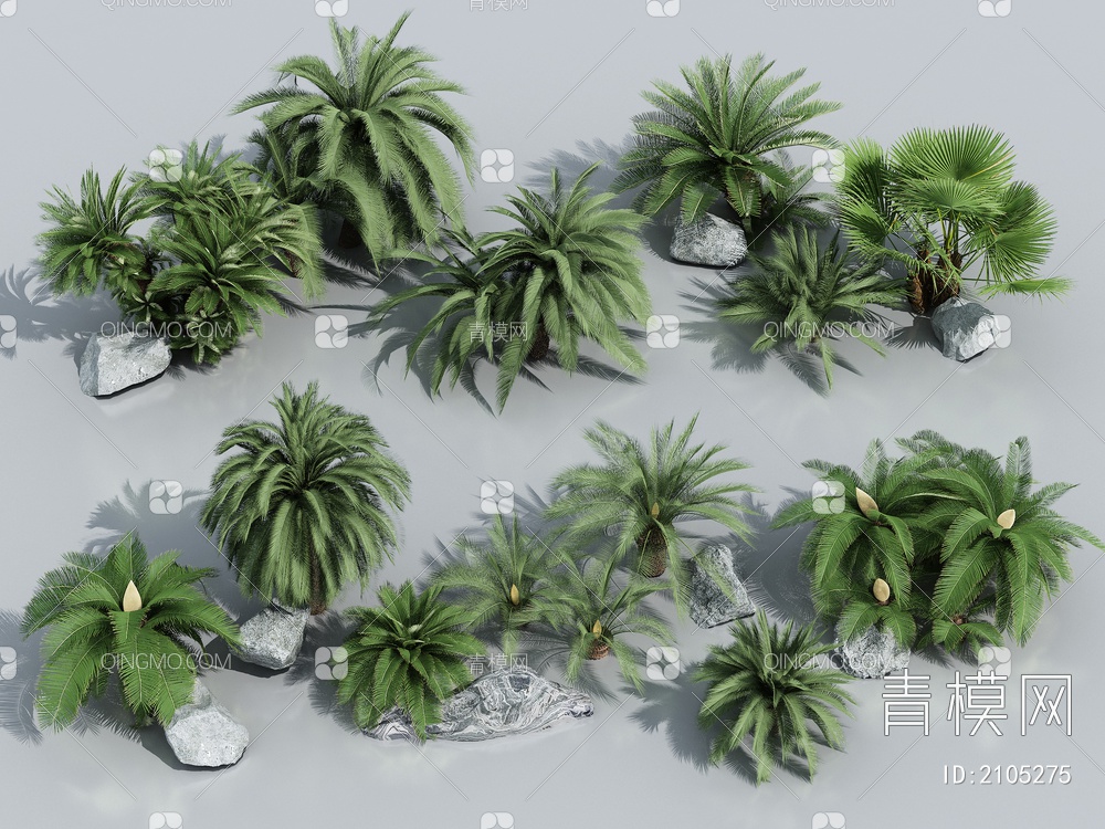 棕榈植物3D模型下载【ID:2105275】