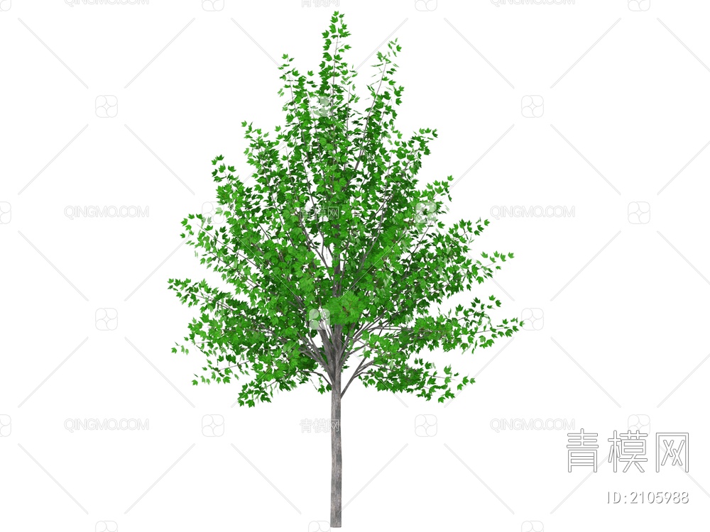 绿色植物 绿色植物乔木树3D模型下载【ID:2105988】