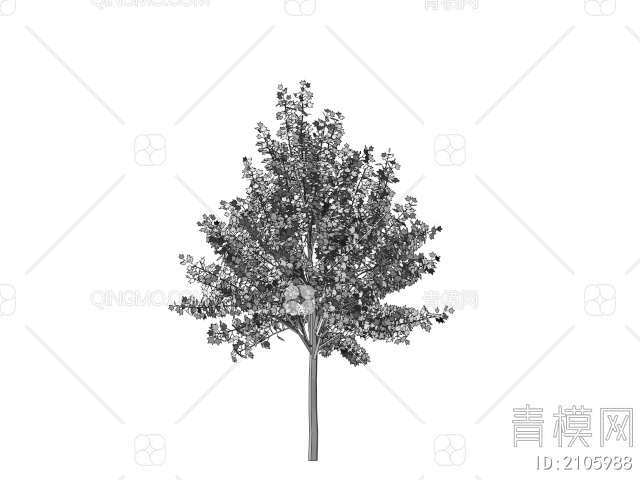 绿色植物 绿色植物乔木树3D模型下载【ID:2105988】