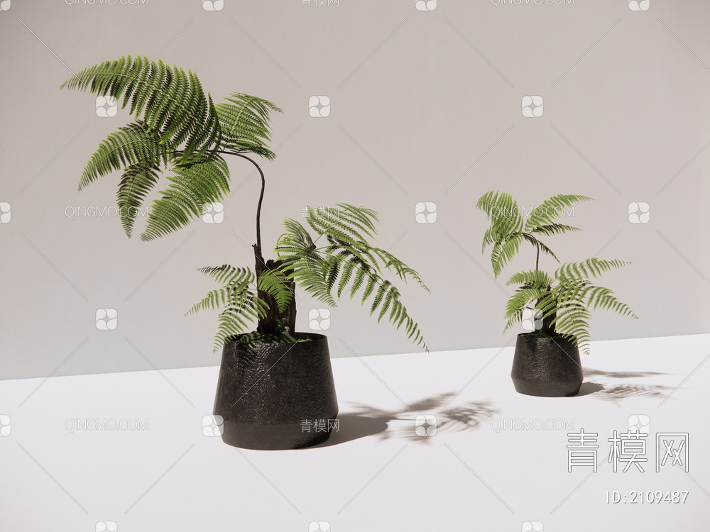 景观植物SU模型下载【ID:2109487】
