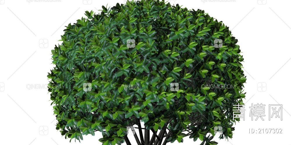 树木灌木库3D模型下载【ID:2107302】
