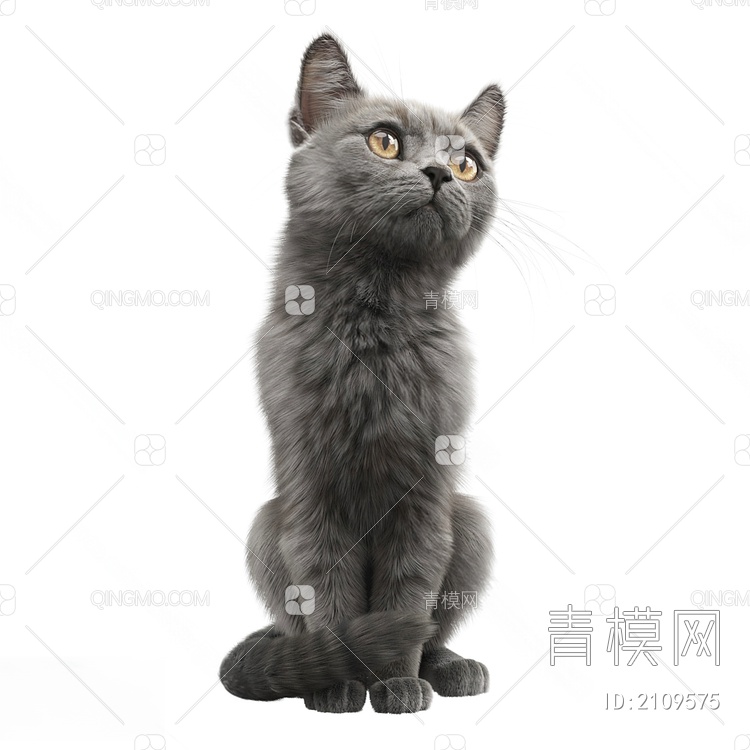 猫SU模型下载【ID:2109575】