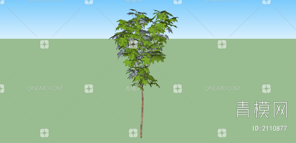 绿色植物 乔木树SU模型下载【ID:2110877】
