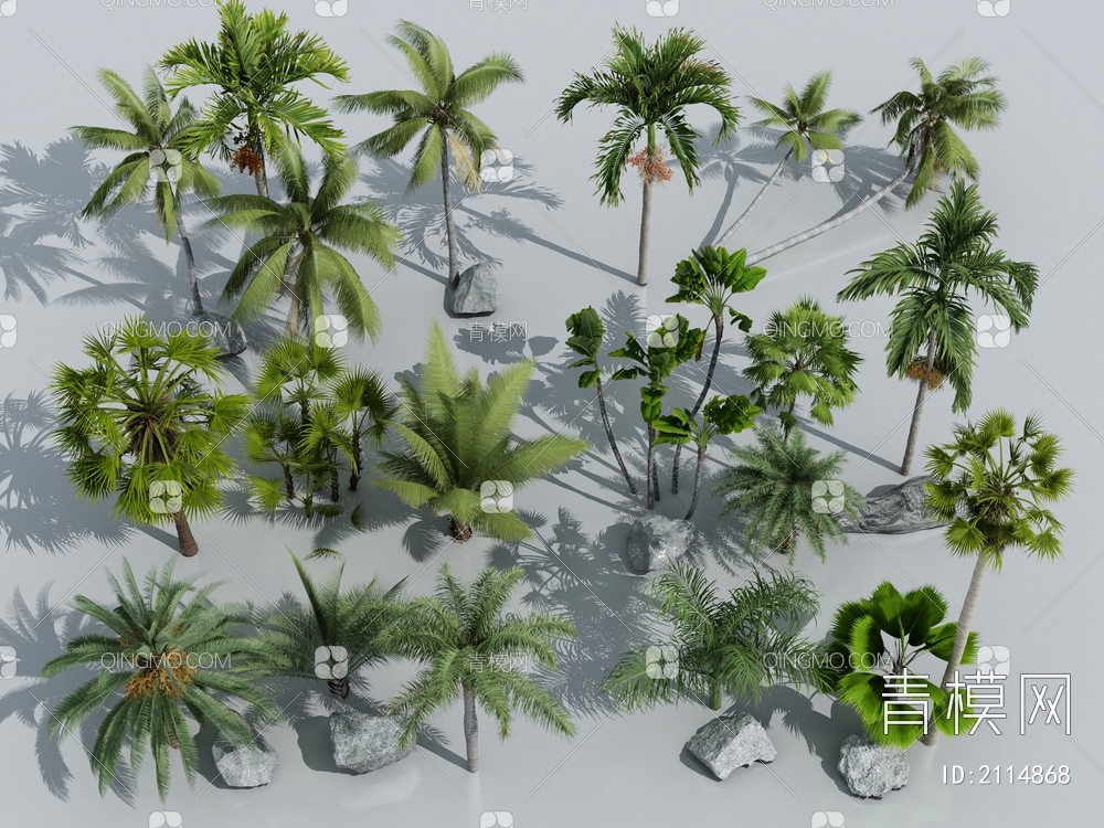 棕榈植物3D模型下载【ID:2114868】