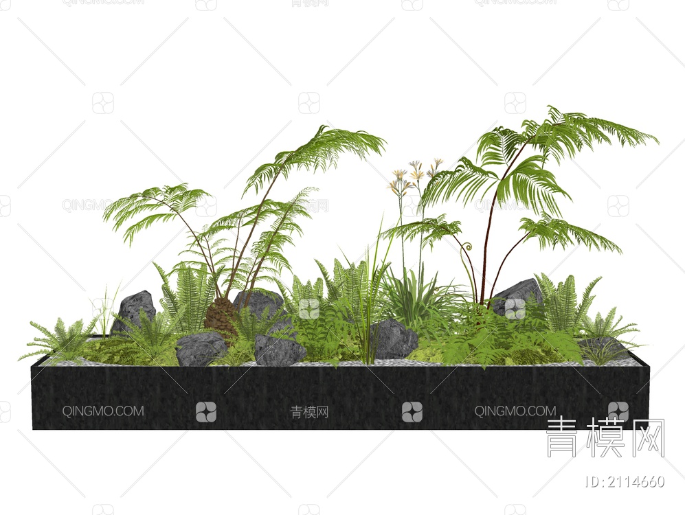 蕨类植物SU模型下载【ID:2114660】